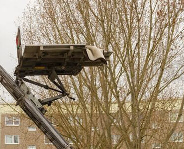 Möbellift in Weinheim Möbellift in Weinheim: Möbellift zwischen kahlen Bäumen vor einem Gebäude