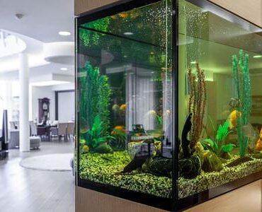 Aquarium-Umzug Weinheim Aquarium-Umzug Weinheim: Großes Aquarium in einem modernen Wohnzimmer